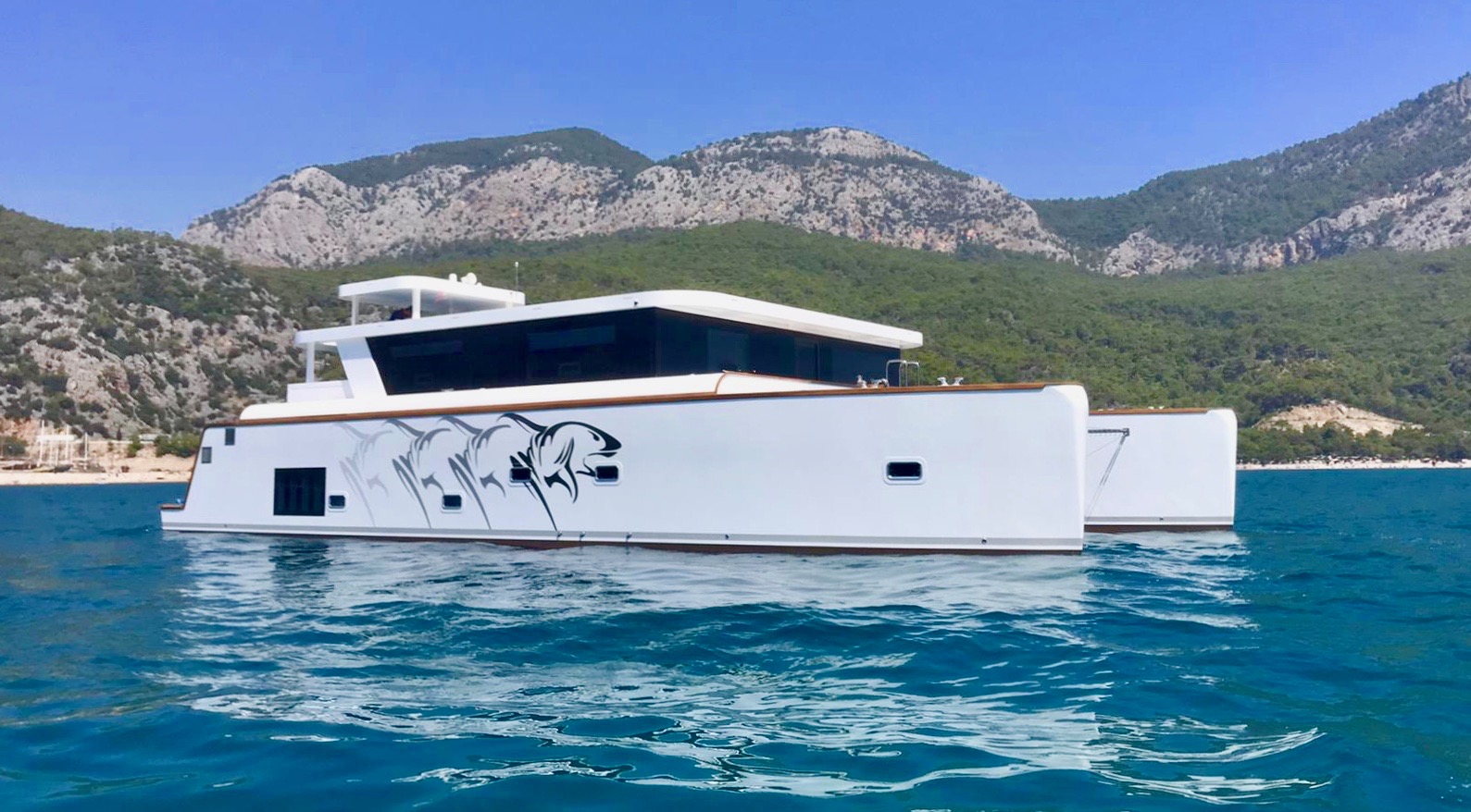 Catamaran FOR CHARTER, year 2020 brand Ocean Beast and model 65, available in Port dAndratx Andratx Mallorca España